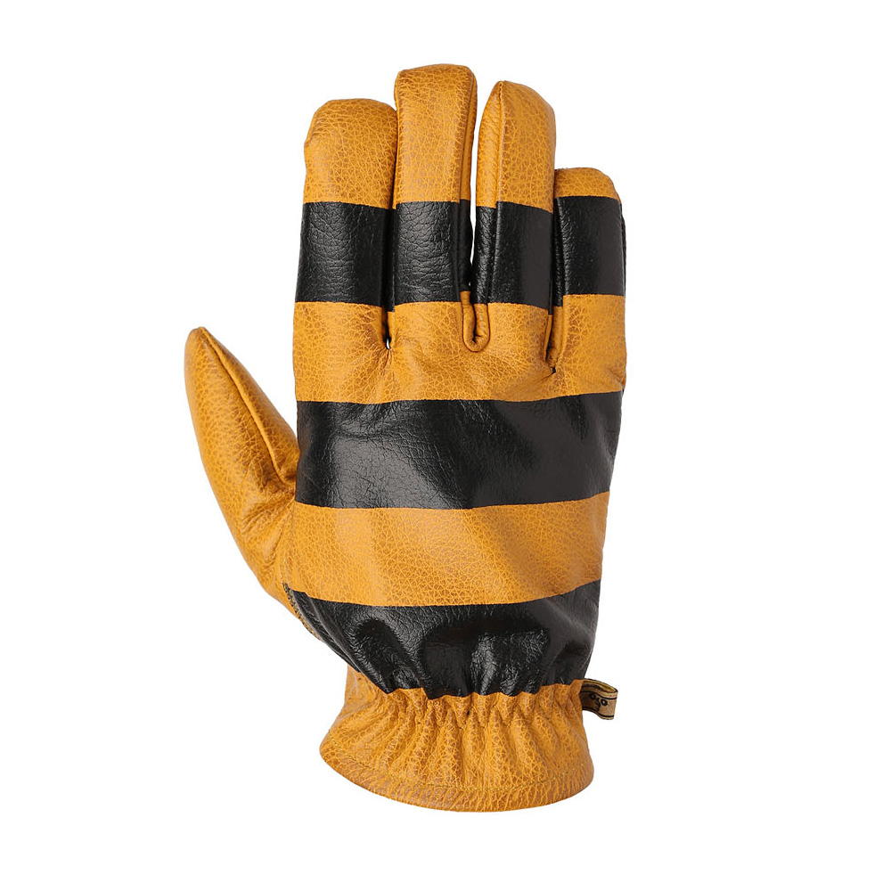 Daisy on the Ohoopee